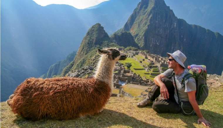 Machu Picchu Lama Peru